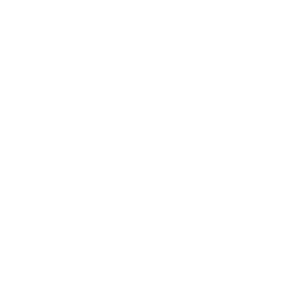 Globe icon white